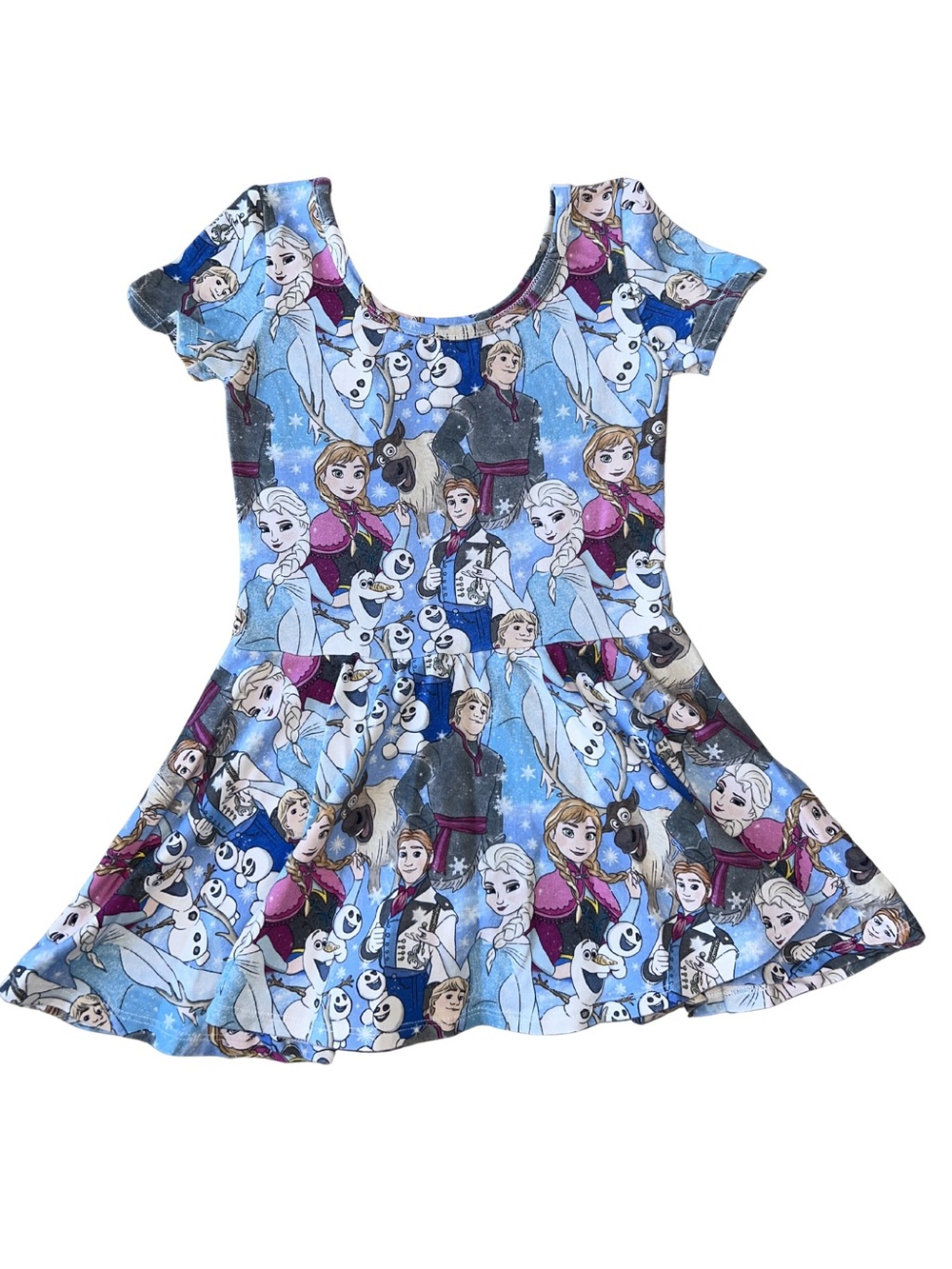 Frozen Skirted Leotard Wild Rich Kids